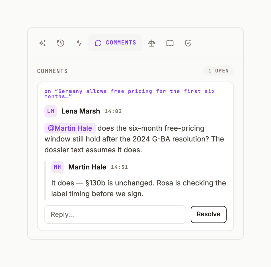 A comment thread in the Comments tab with a mention