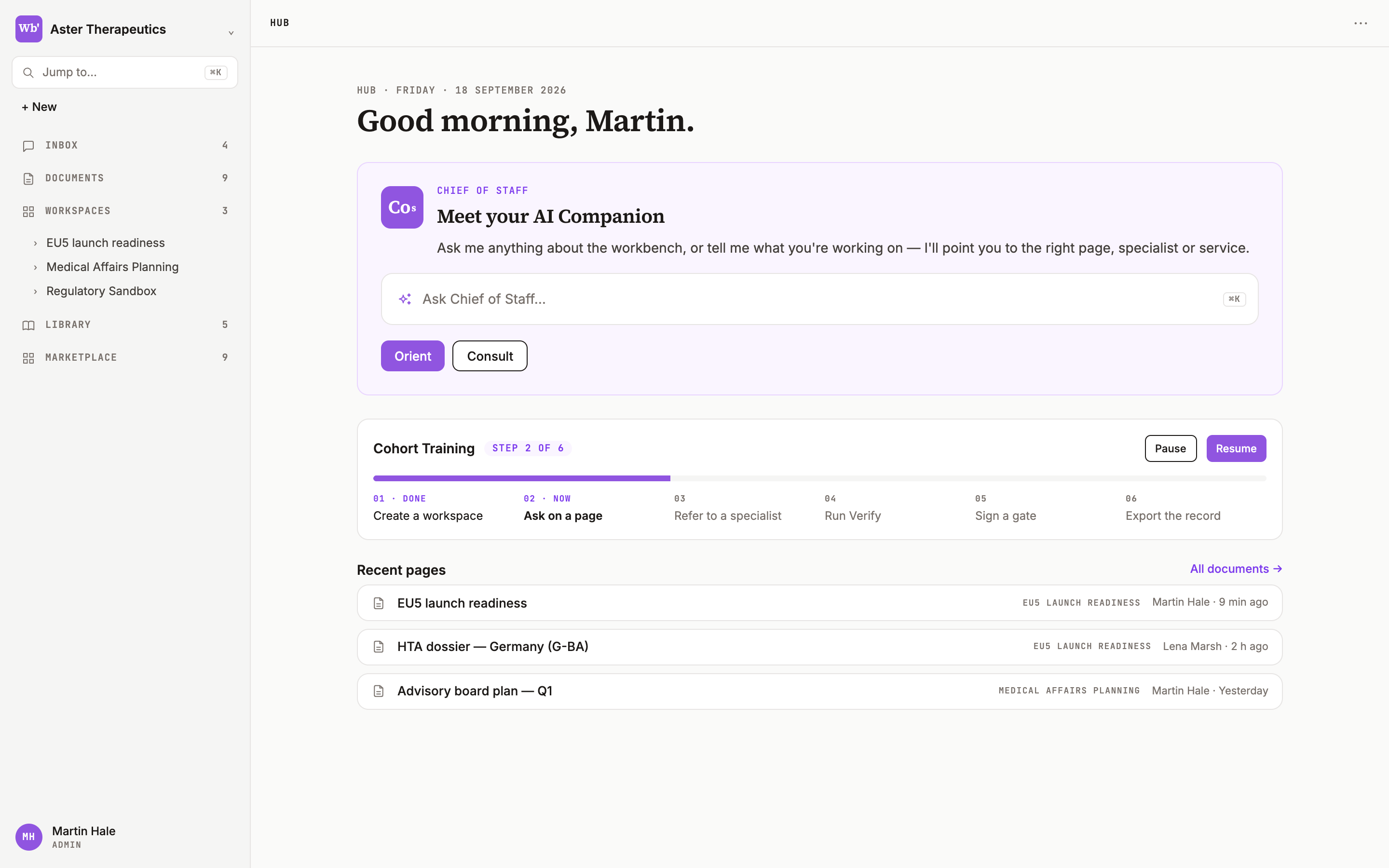 The Hub in Learner layout with the Meet your AI Companion card