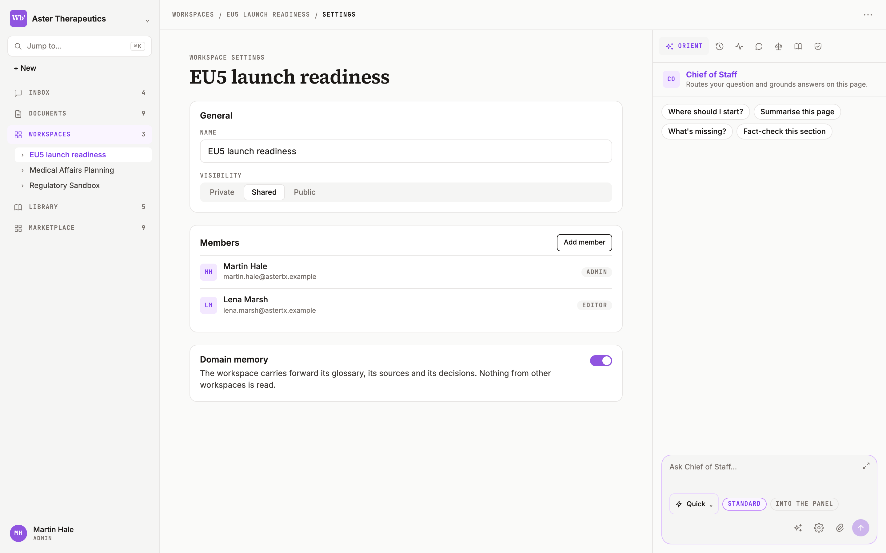 Workspace settings: General, Members and Domain memory